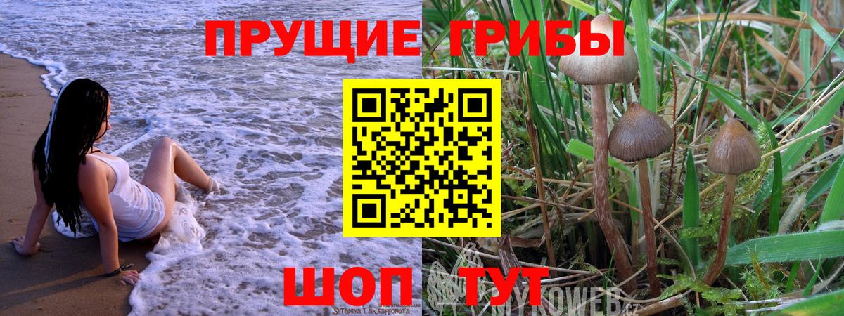 Галлюциногенные грибы прущие грибы  Вход с VPN  сколько стоит  Пугачёв 