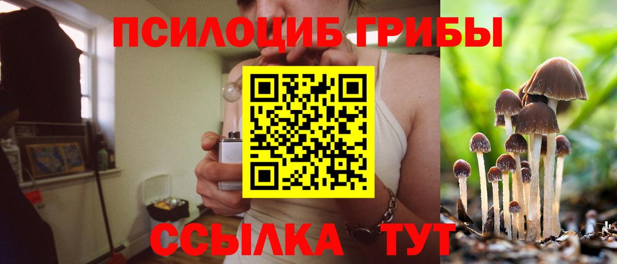 Галлюциногенные грибы мухоморы Пугачёв